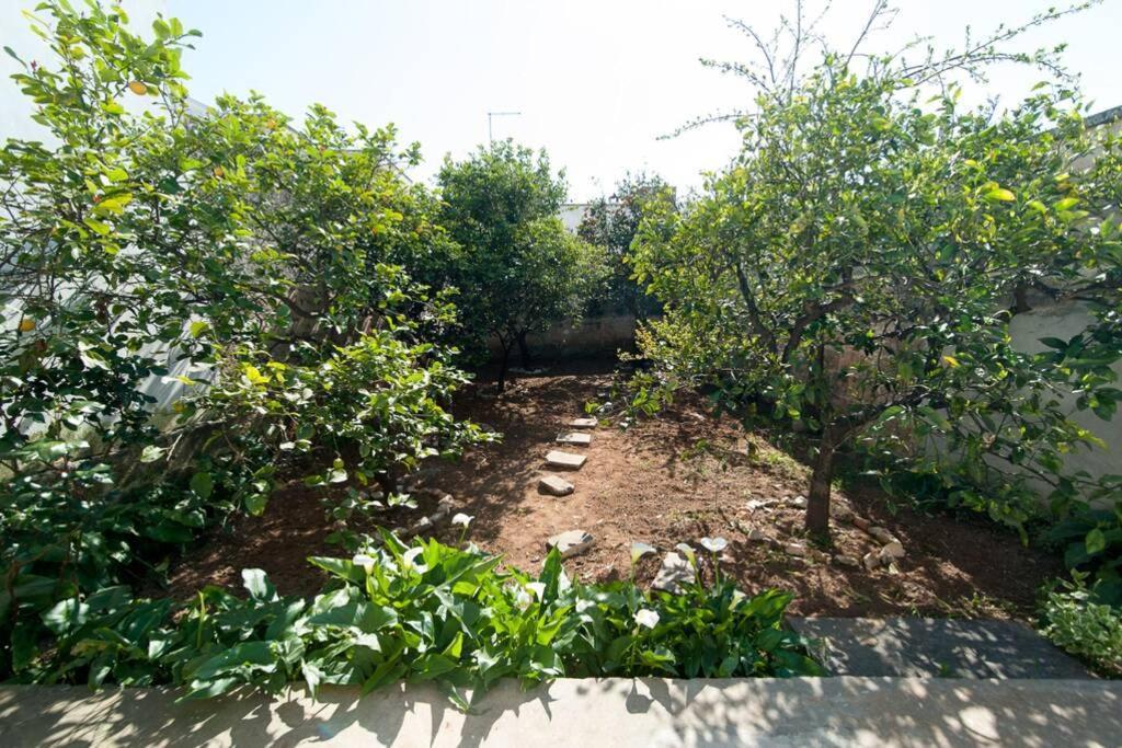 Casa Vacanza Zia Nunziatina Βίλα Copertino Εξωτερικό φωτογραφία